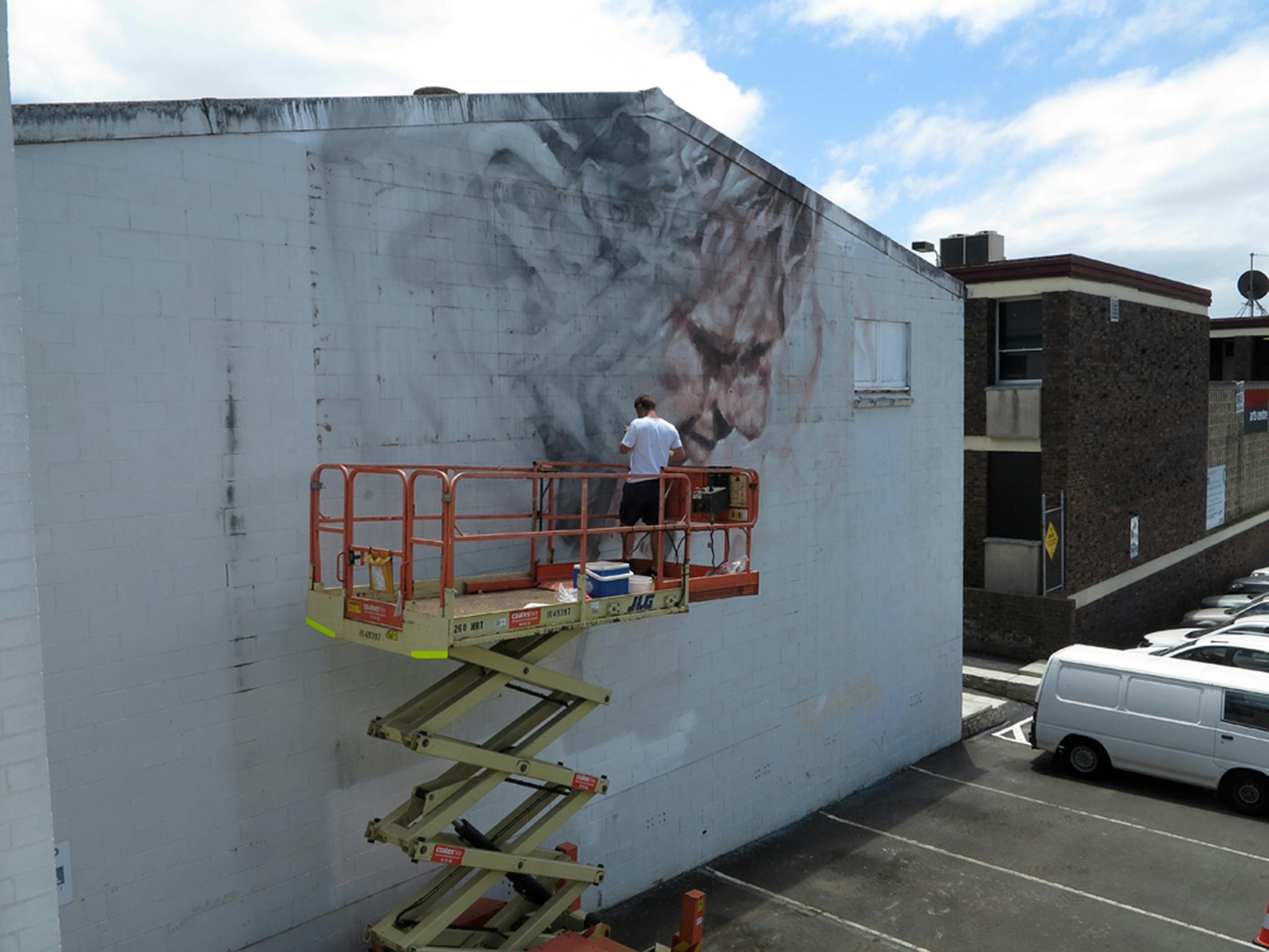 Work in Progress Nowra, New South Wales, Australia. December 2014 Photograph: Guido van Helten