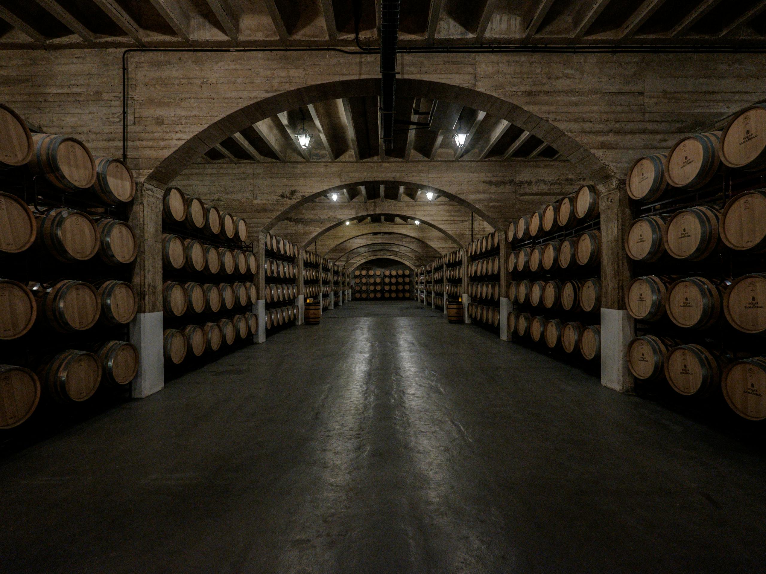 Bodegas Solar de Samaniego Rioja Alavesa, Spain. July 2016 Photograph: Guido van Helten