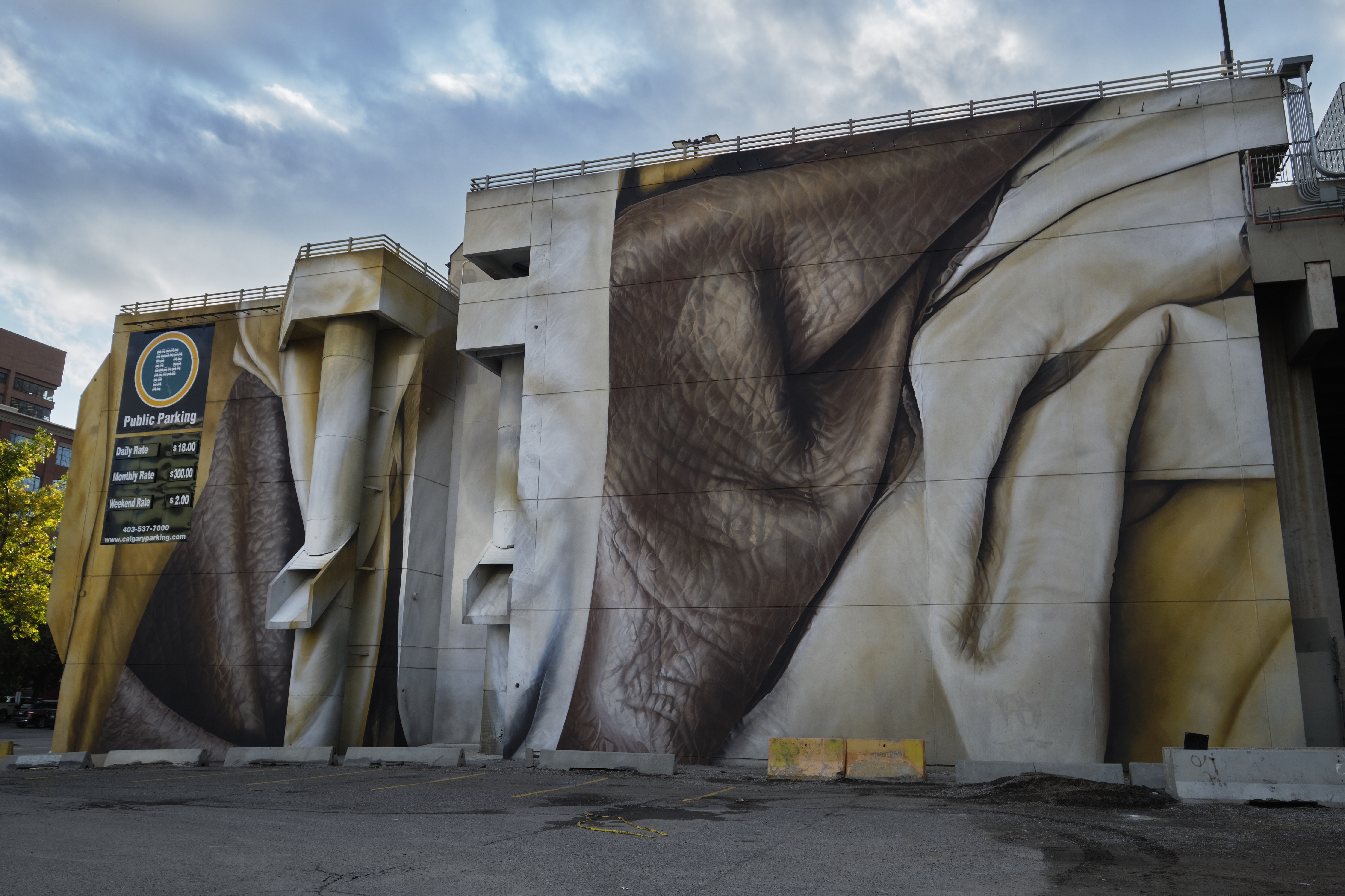 Installation completed for YCC Bump festival Calgary, Alberta, Canada. September&nbsp;2019 Photograph: Guido van Helten