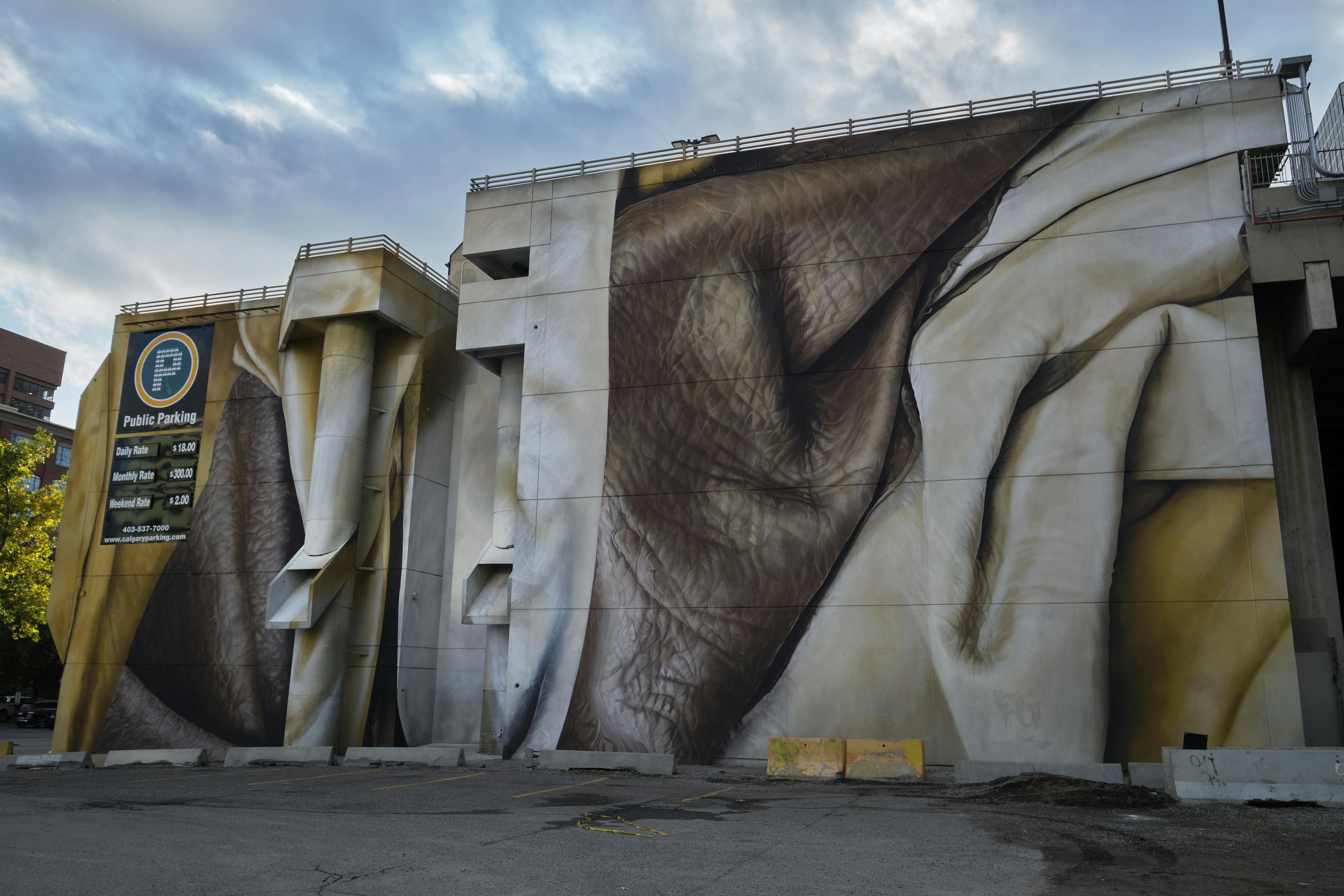 Installation completed for YCC Bump festival Calgary, Alberta, Canada. September 2019 Photograph: Guido van Helten