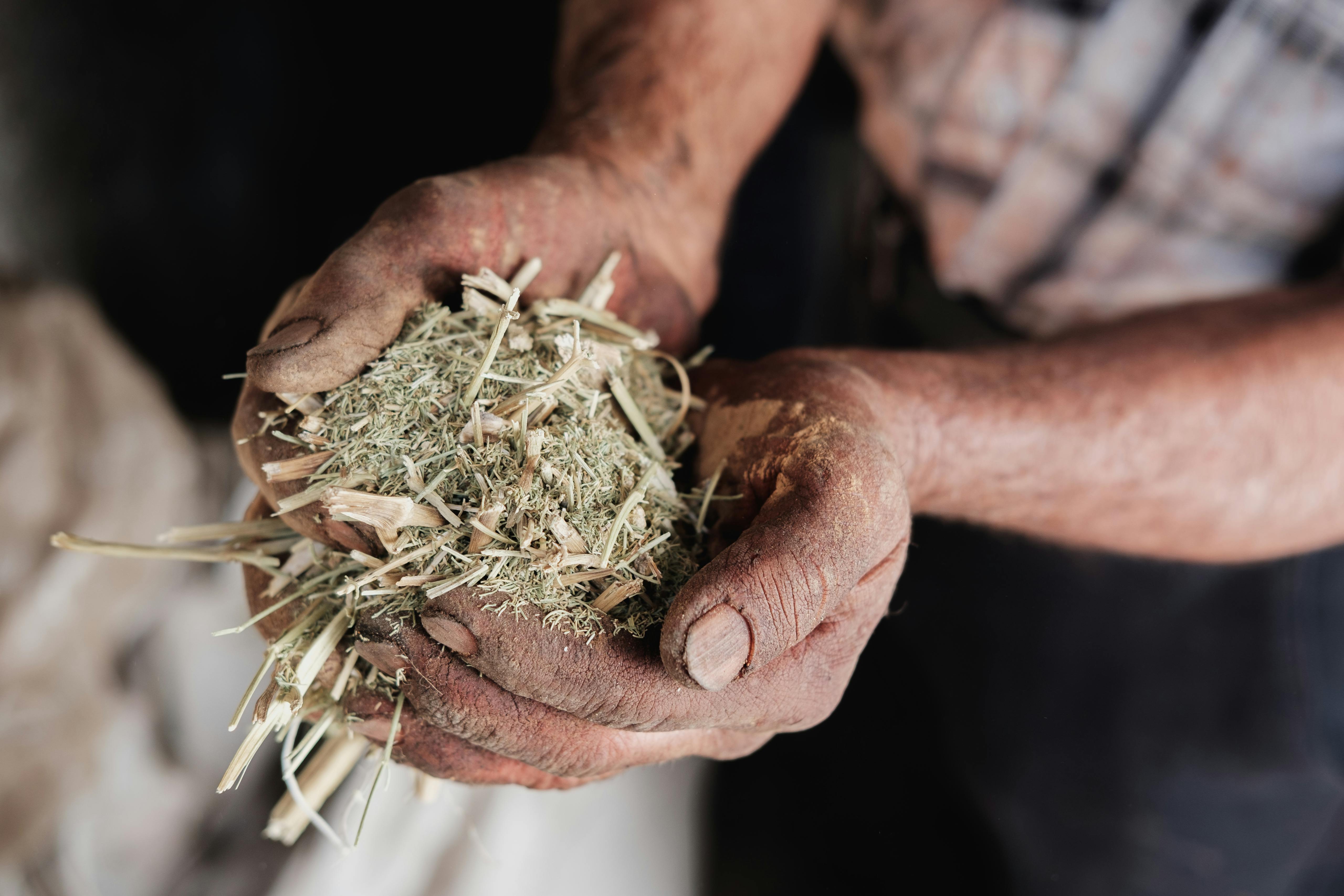 Natural earth pigments Kashan, Iran. November 2018 Photograph: Guido van Helten