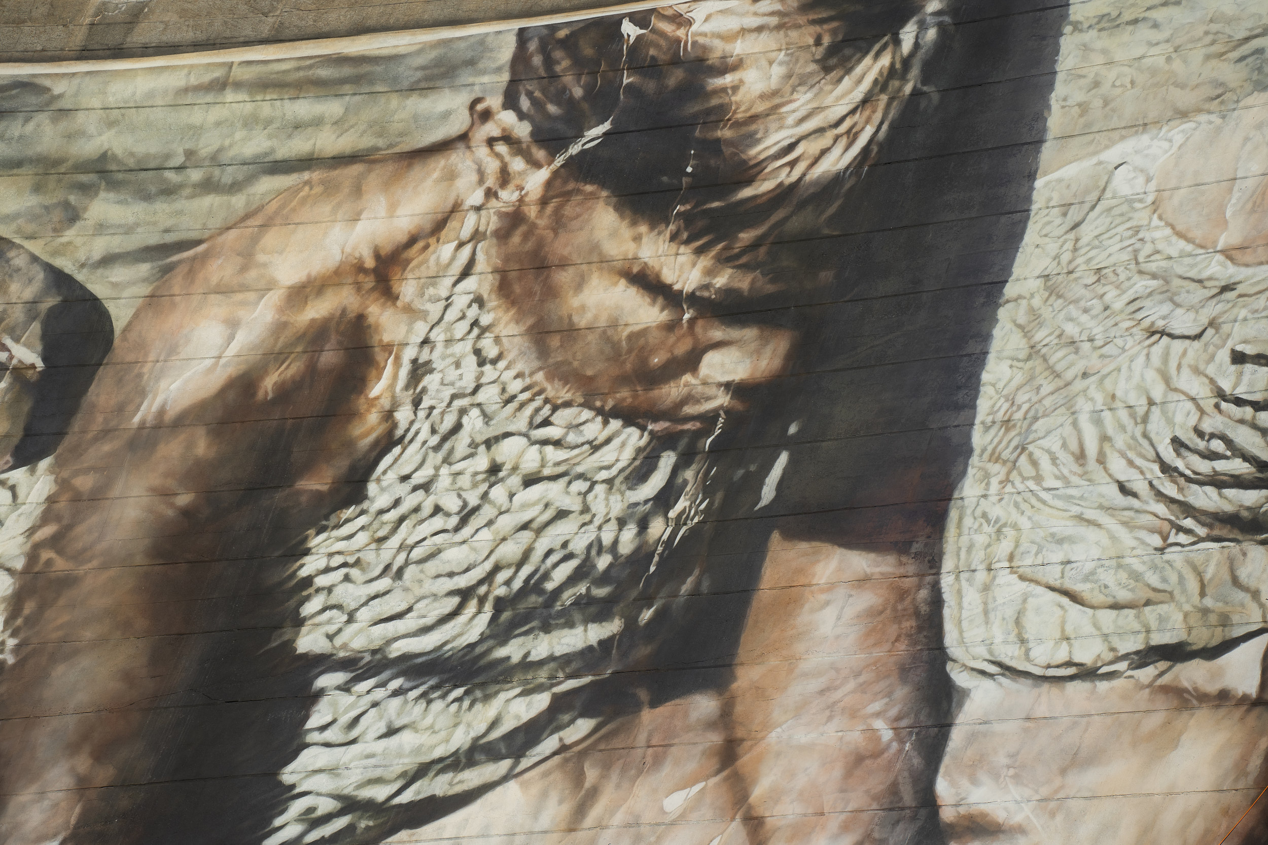 Mural Detail, Wellington Dam - Western Australia Roxanne Taylor