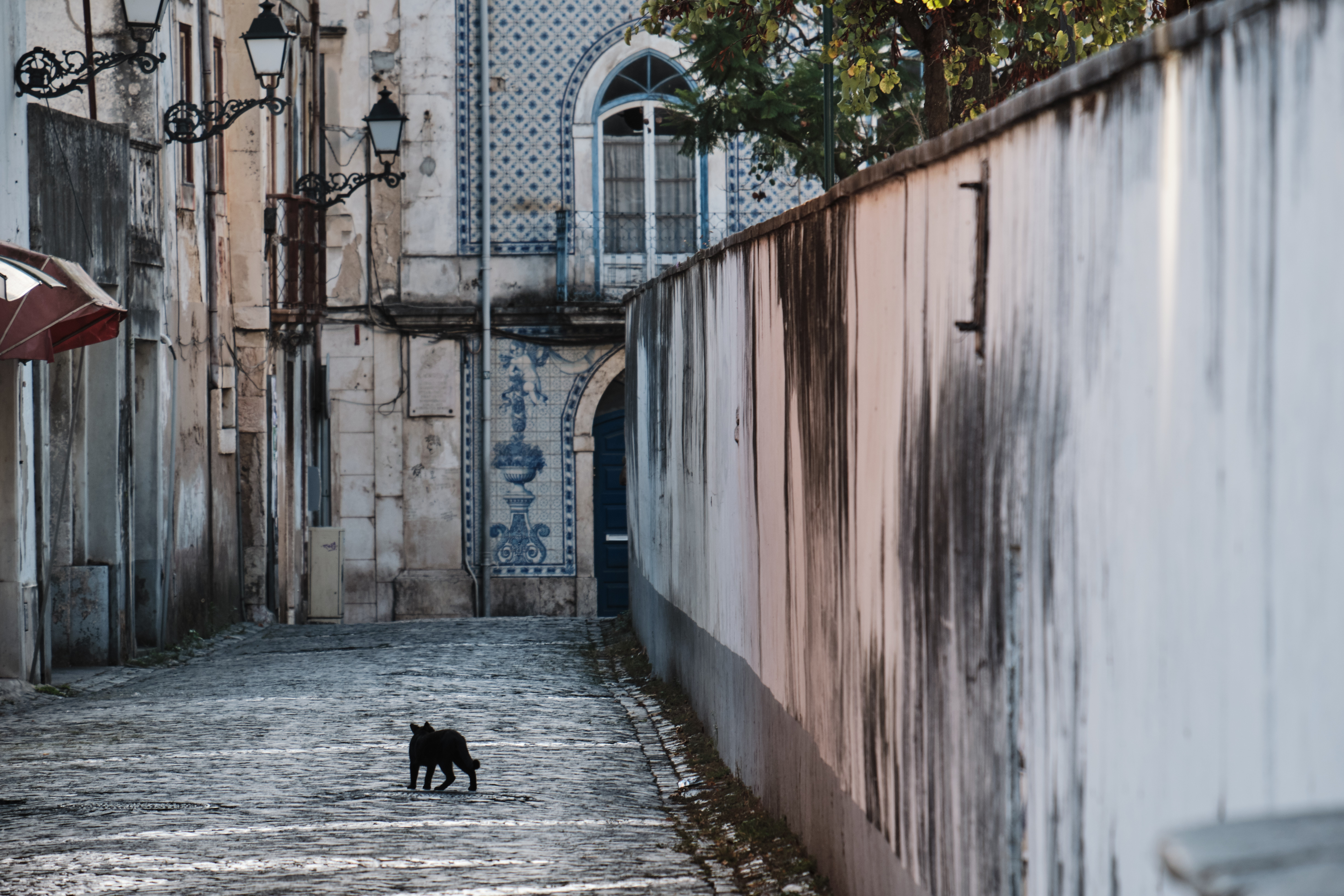 Details. Leiria, Portugal. September 2019 Photographs: Guido van Helten
