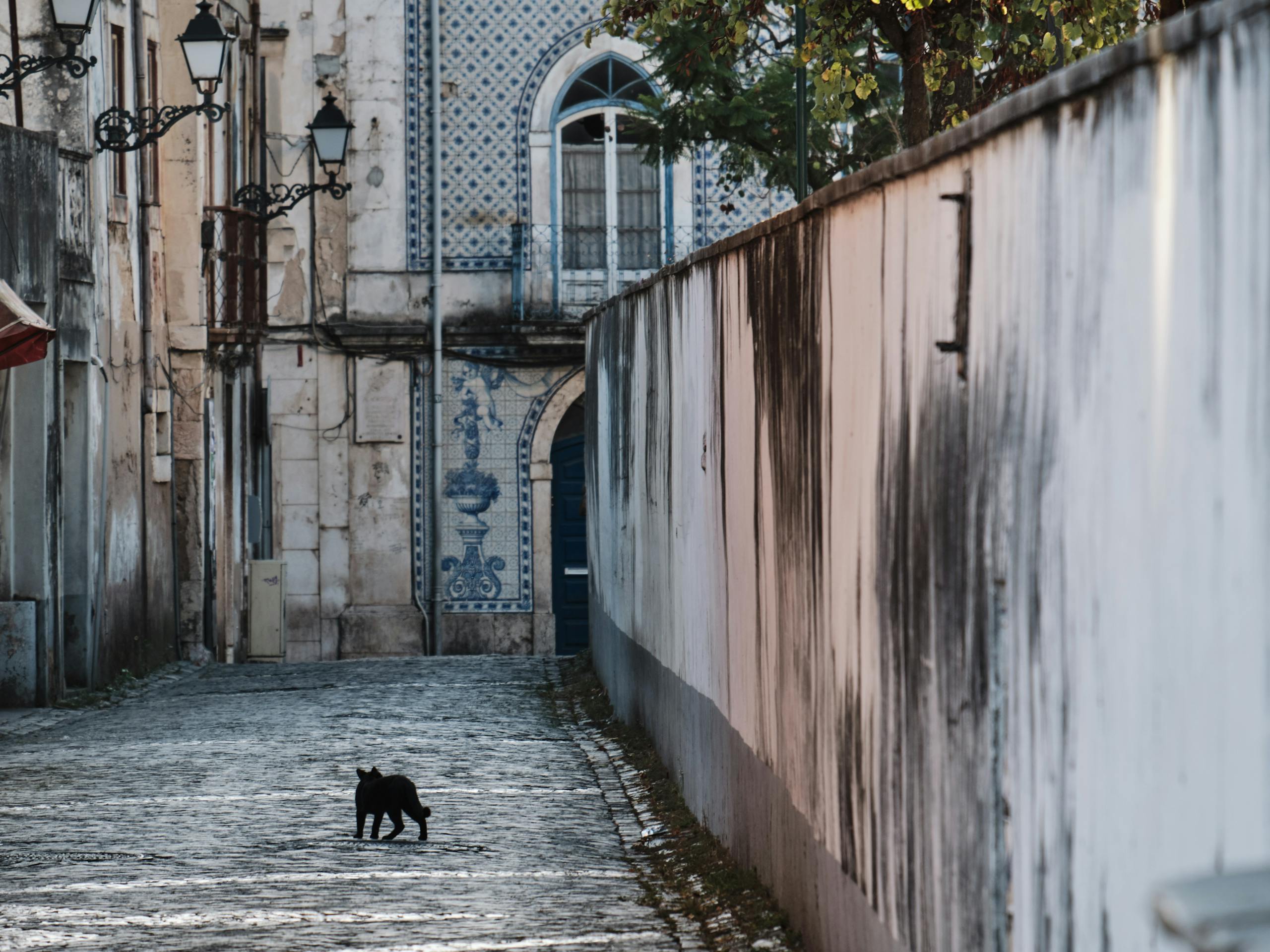 Details. Leiria, Portugal. September 2019 Photographs: Guido van Helten