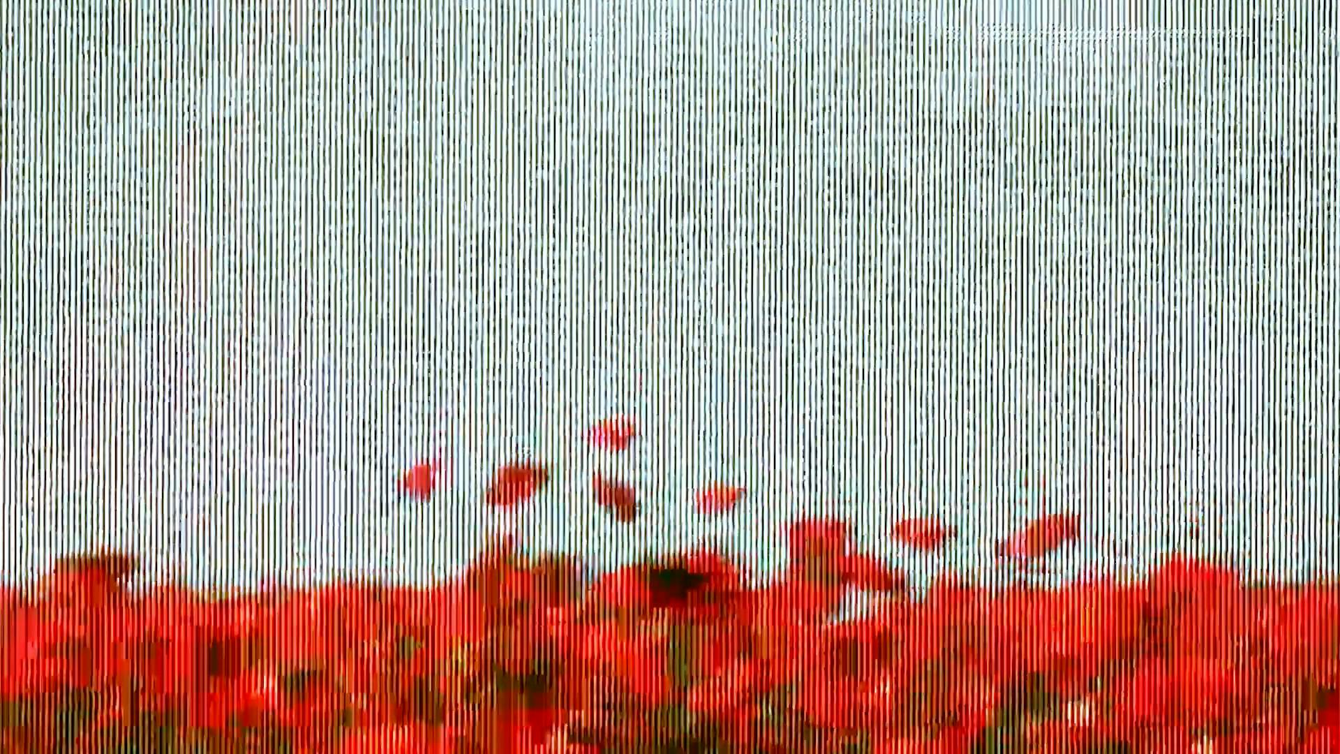 ALPHONSE-MAITRE-PIERRE-CREATIVE-DOING-COQUELICOT