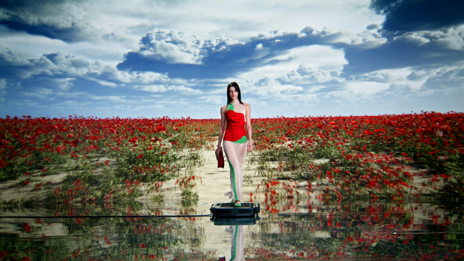 ALPHONSE-MAITRE-PIERRE-CREATIVE-DOING-COQUELICOT