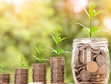 Image sans description