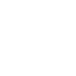 Vestiaire Collective
