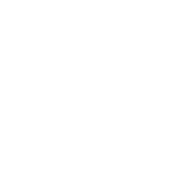 Showroomprivé logo