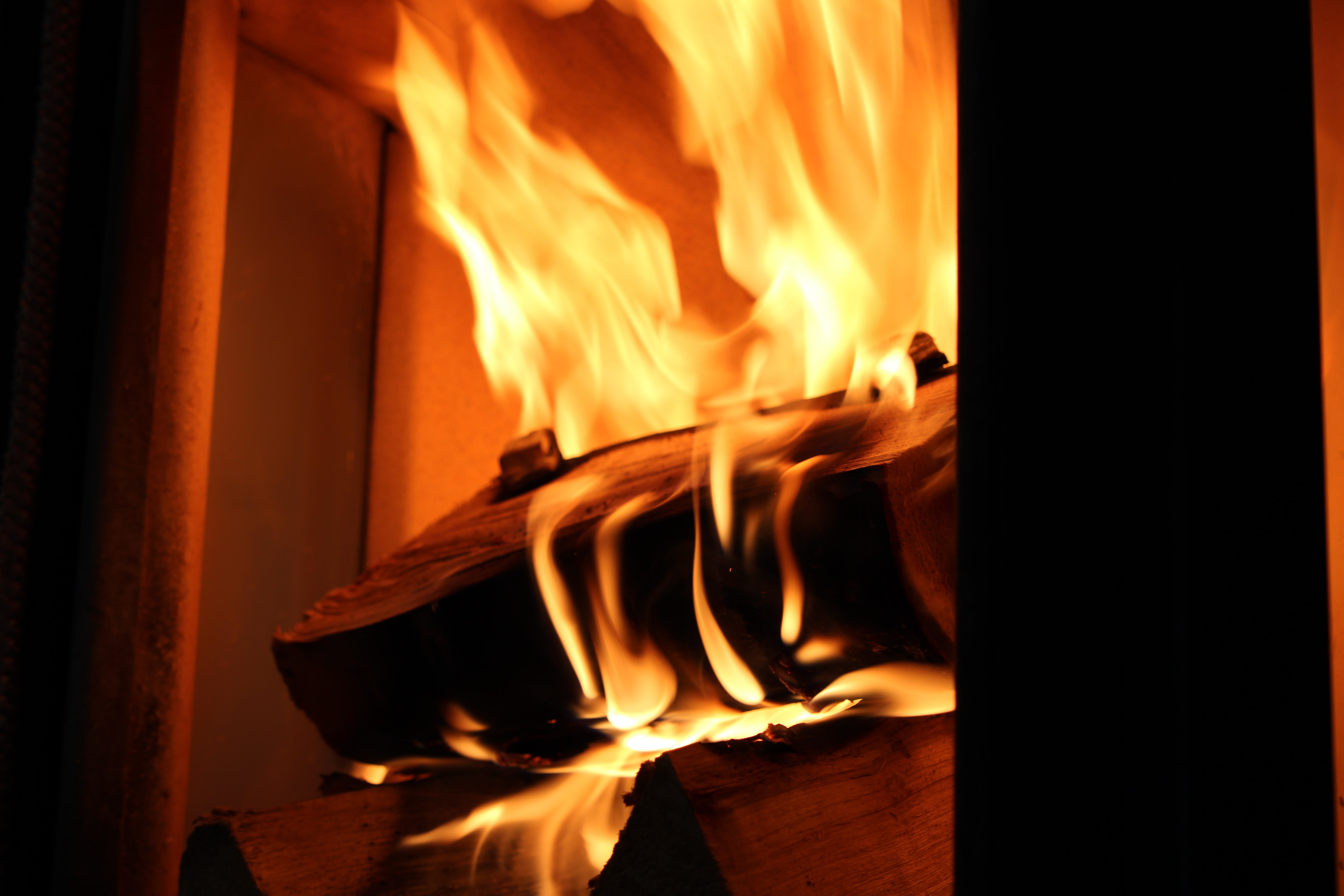 herkennen van droog hout