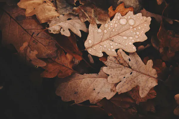 Herbstdepression