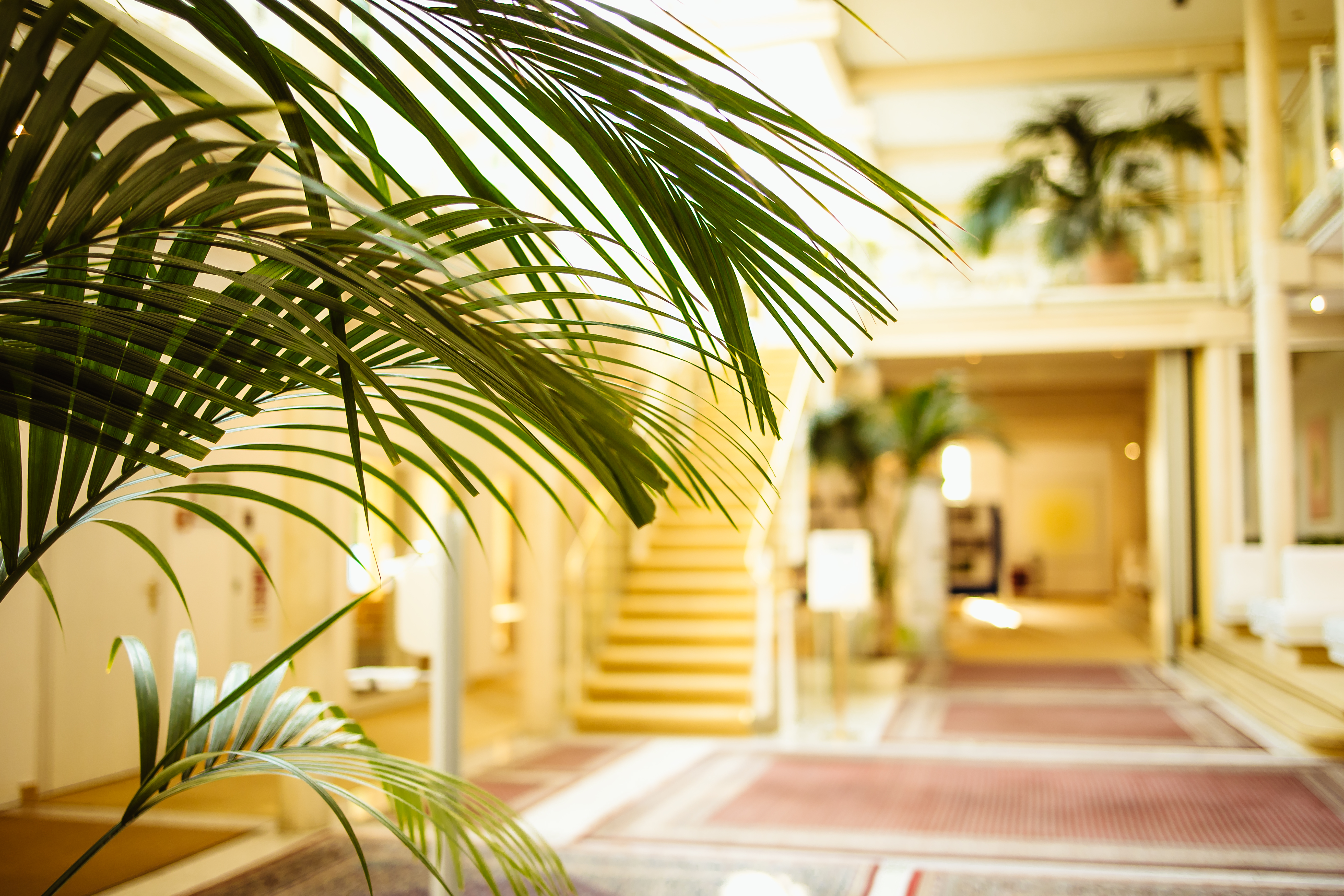 Eingangshalle Habichtswald-Klinik