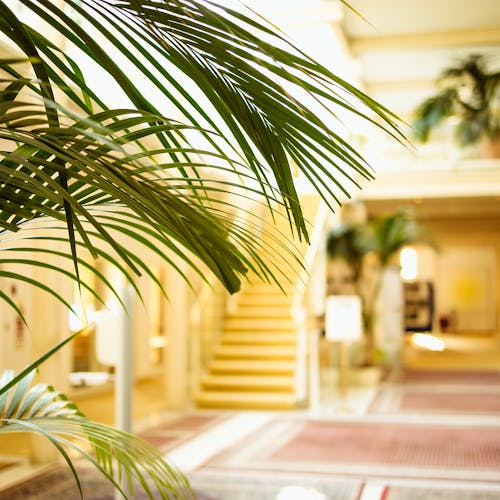 Eingangshalle Habichtswald-Klinik Eingangshalle Habichtswald-Klinik