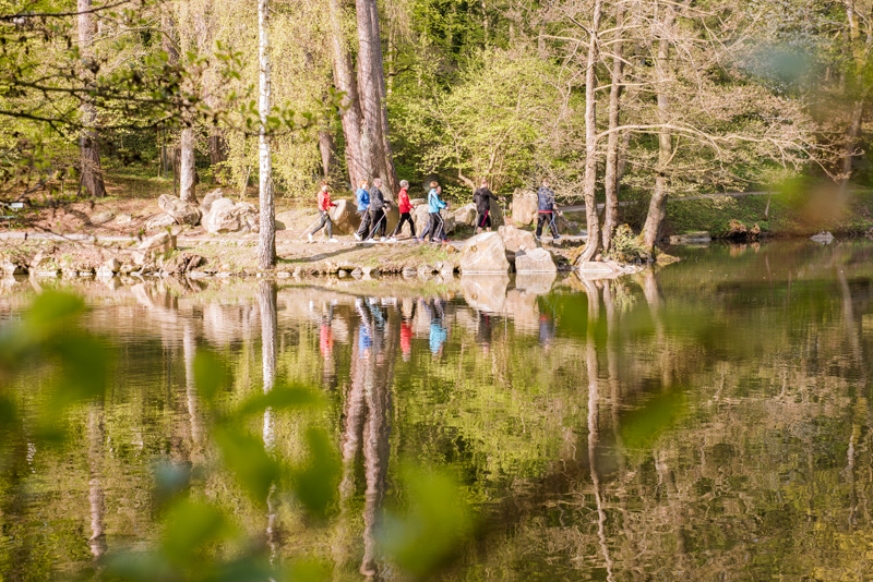Sport- und Bewegungstherapie in der Habichtswald Privat-Klinik