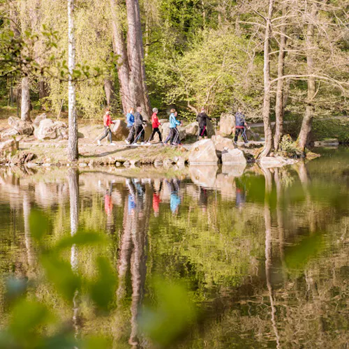 Sport- und Bewegungstherapie in der Habichtswald Privat-Klinik