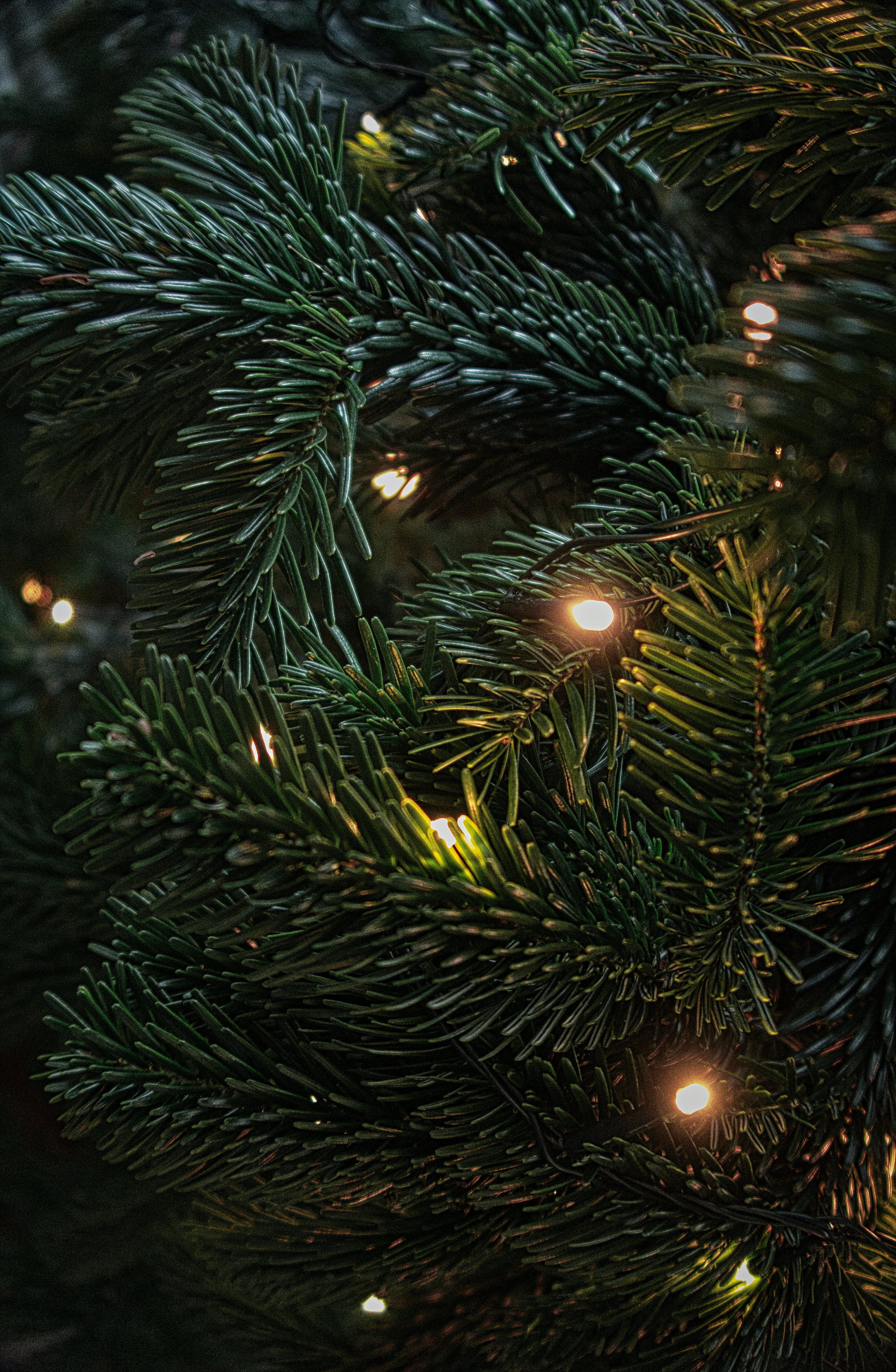 Depression an Weihnachten