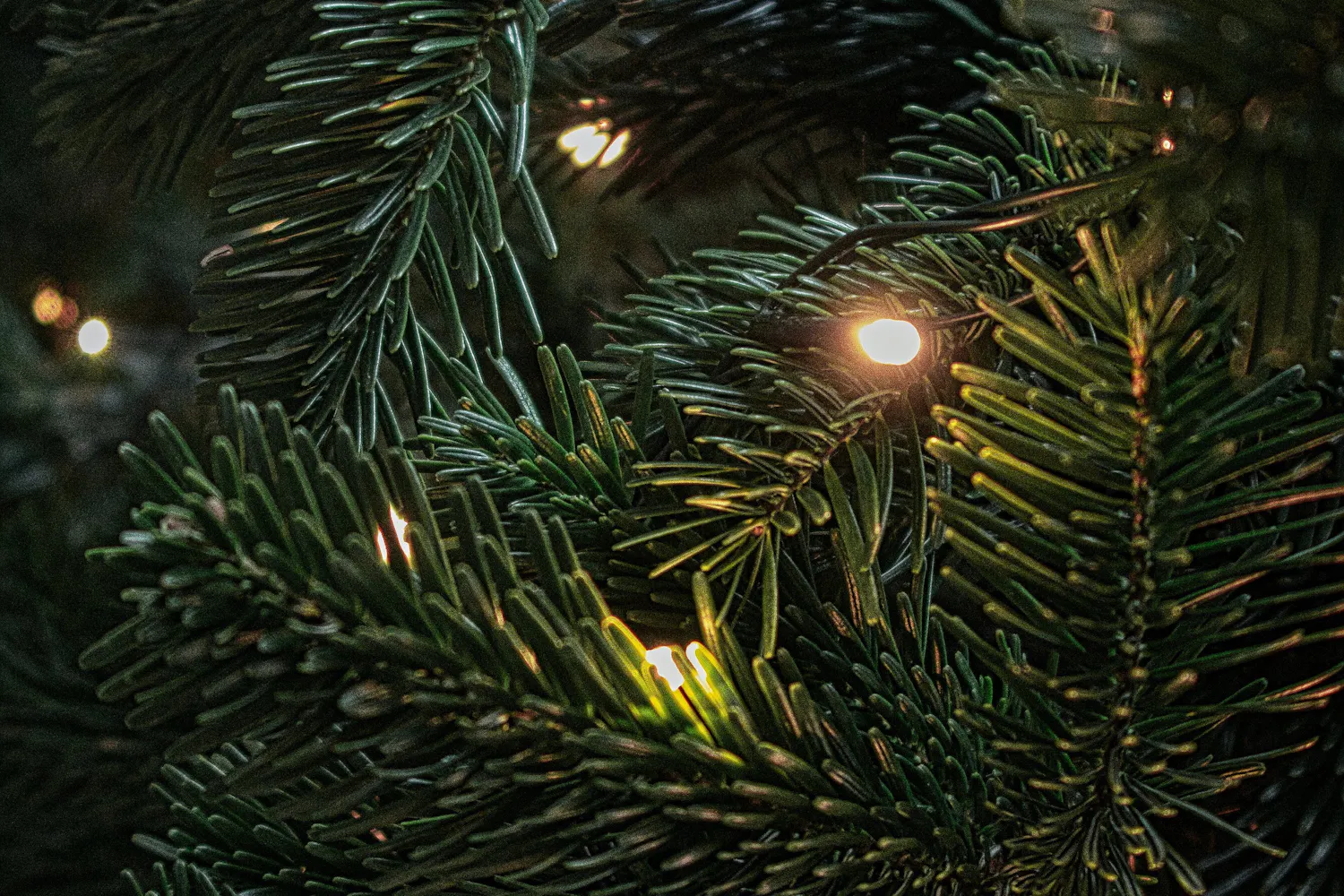 Depression an Weihnachten Depression an Weihnachten