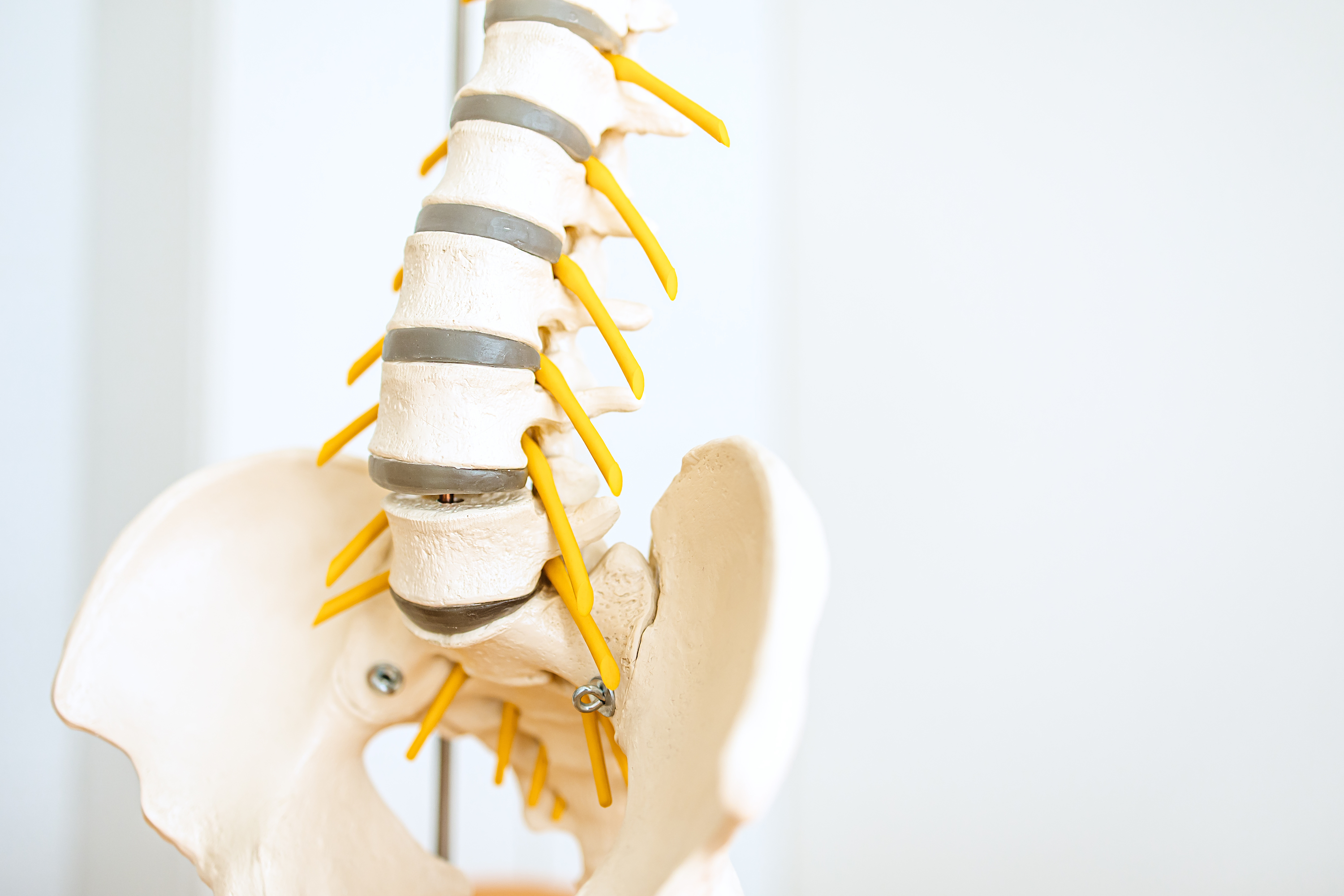 Therapievielfalt Psychosomatik