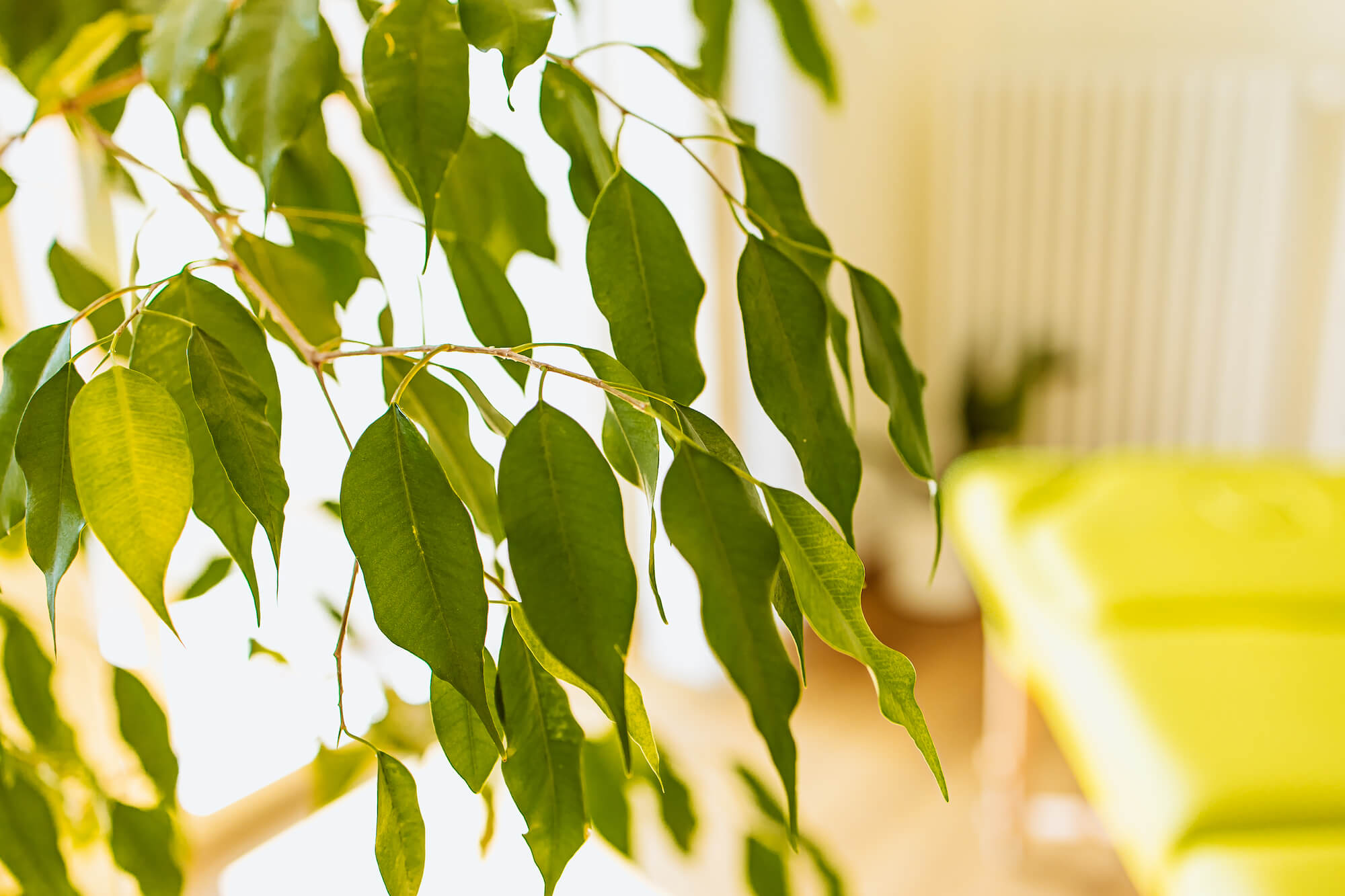 Impressum Habichtswald Reha-Klinik