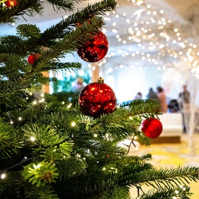 Weihnachts Dekoration Weihnachts Dekoration