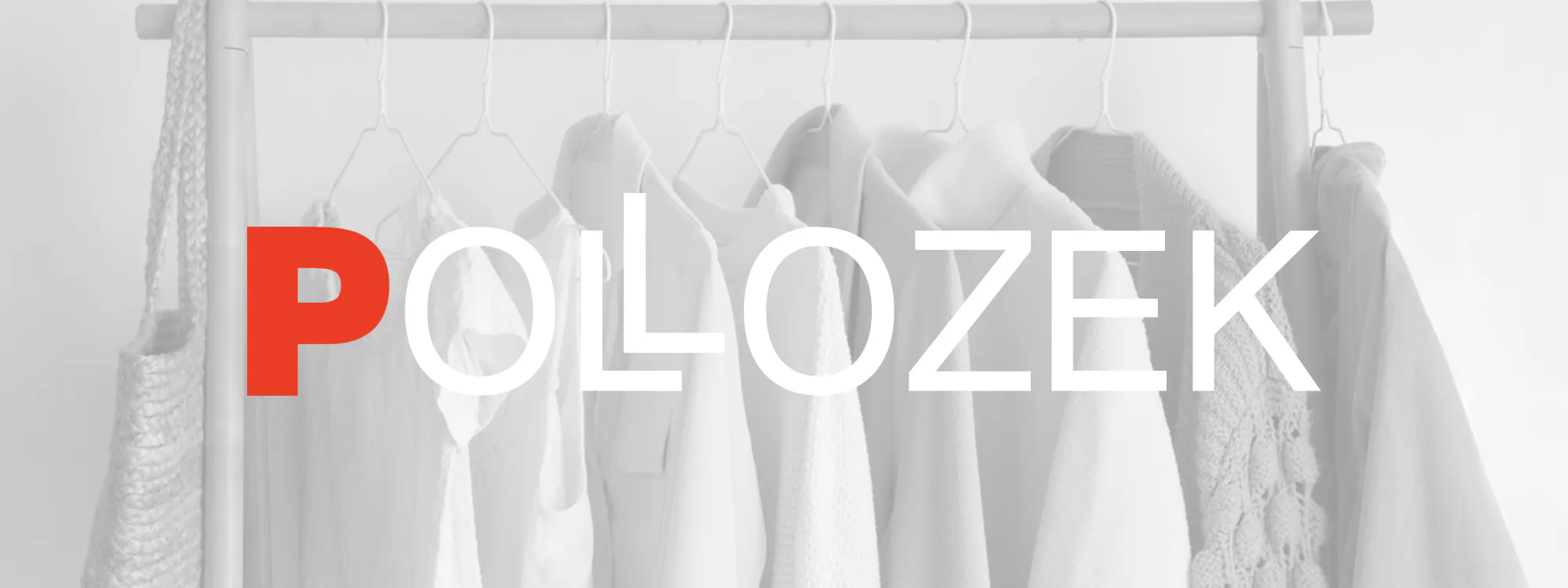 evolution planning webinar mit Best Practice Pollozek