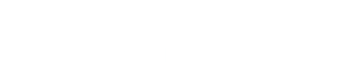 Seismic Foundation