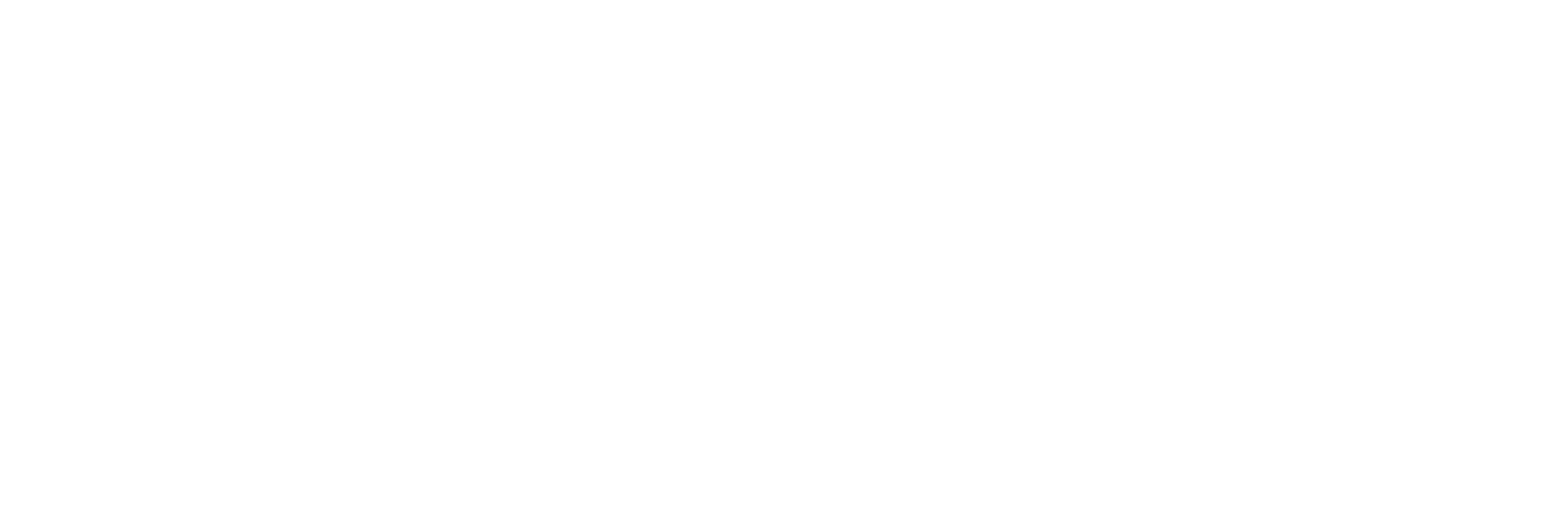 Adept Technology
