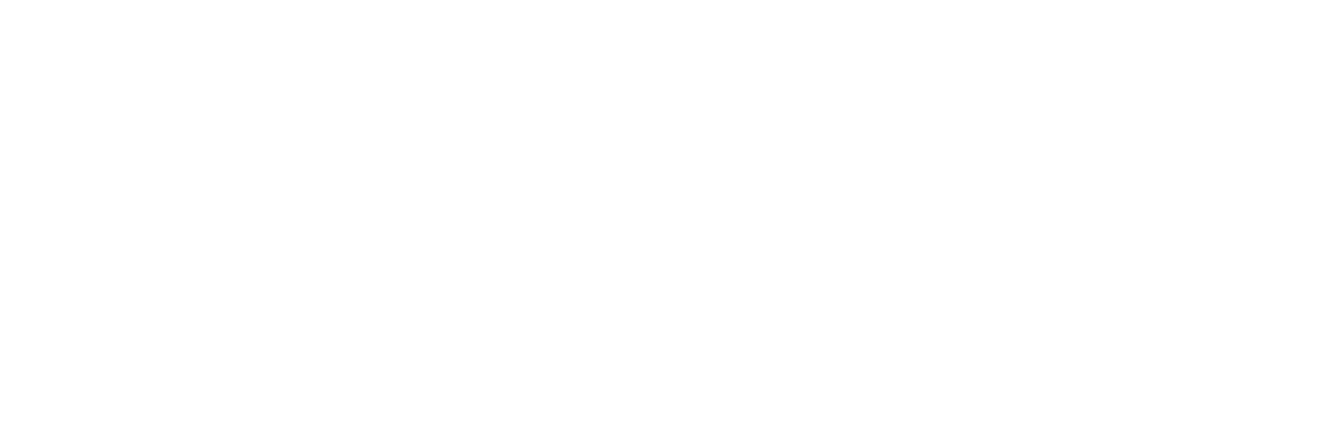 Top Image Systems