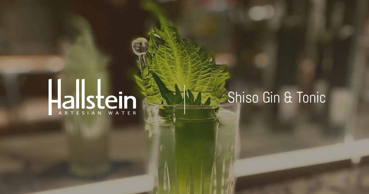 Shiso Gin & Tonic