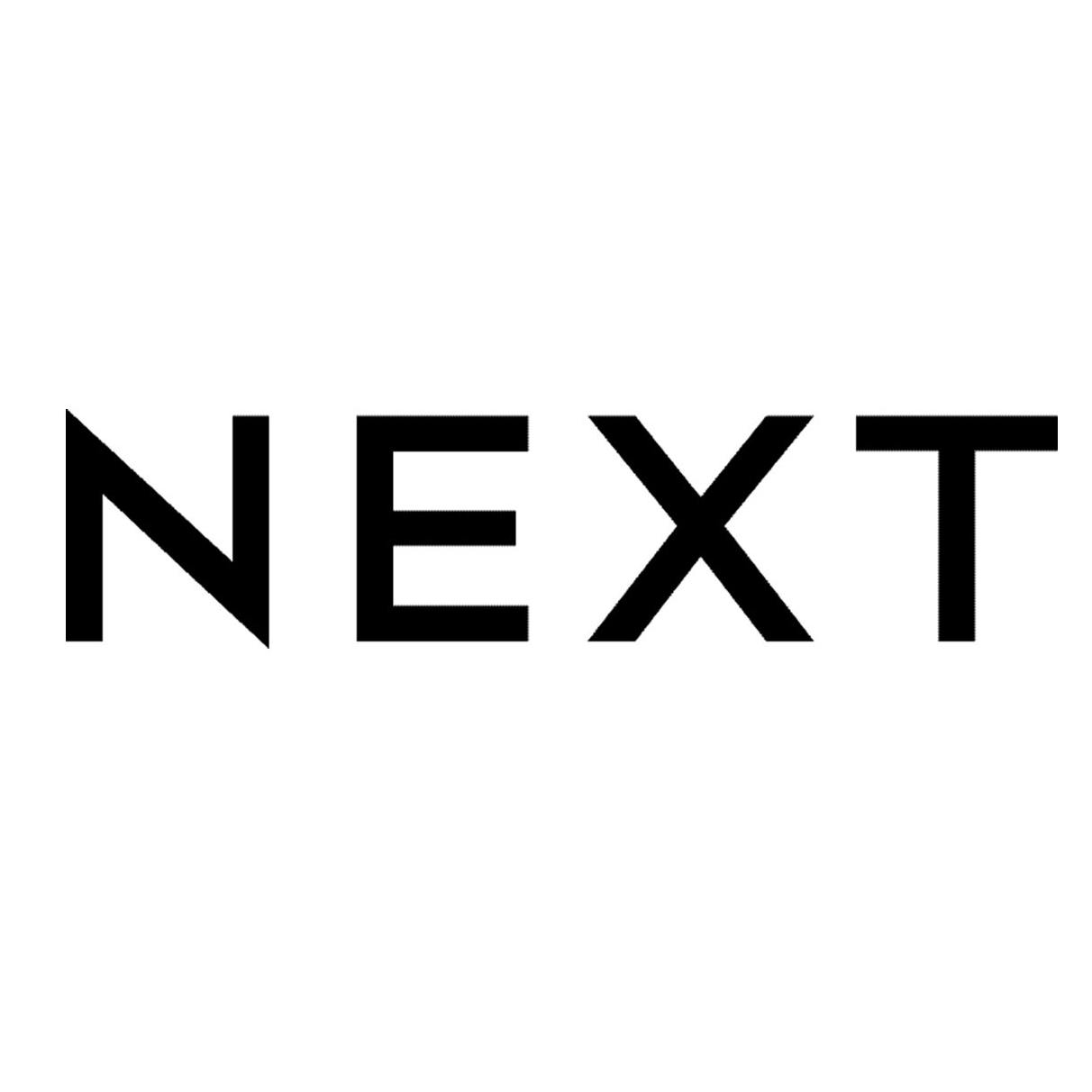 Next Logo