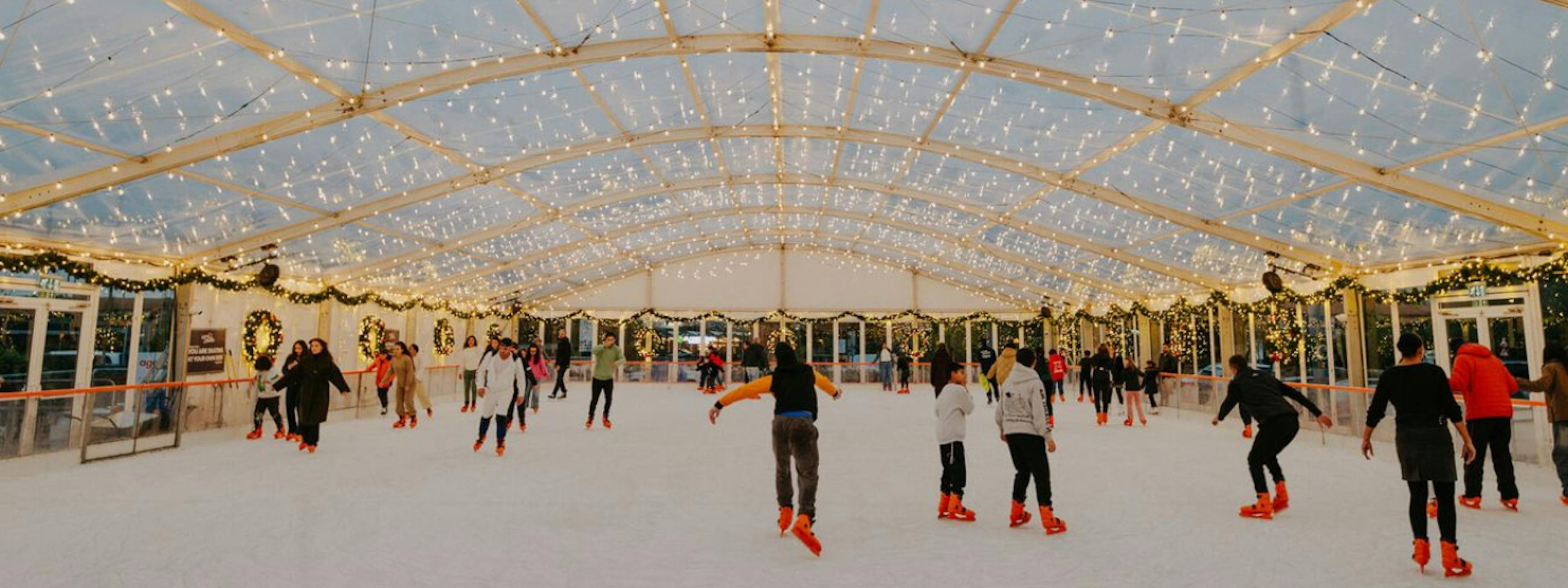 skating at brent cross
