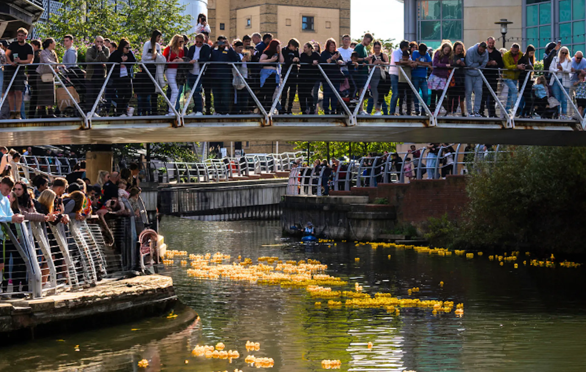 people on the oracle bridge with the rubber ducks underneath floating in the river for the reading duck race