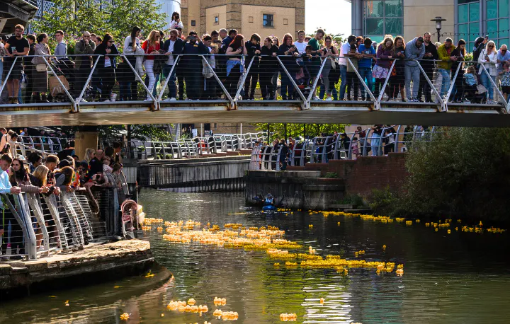 people on the oracle bridge with the rubber ducks underneath floating in the river for the reading duck race