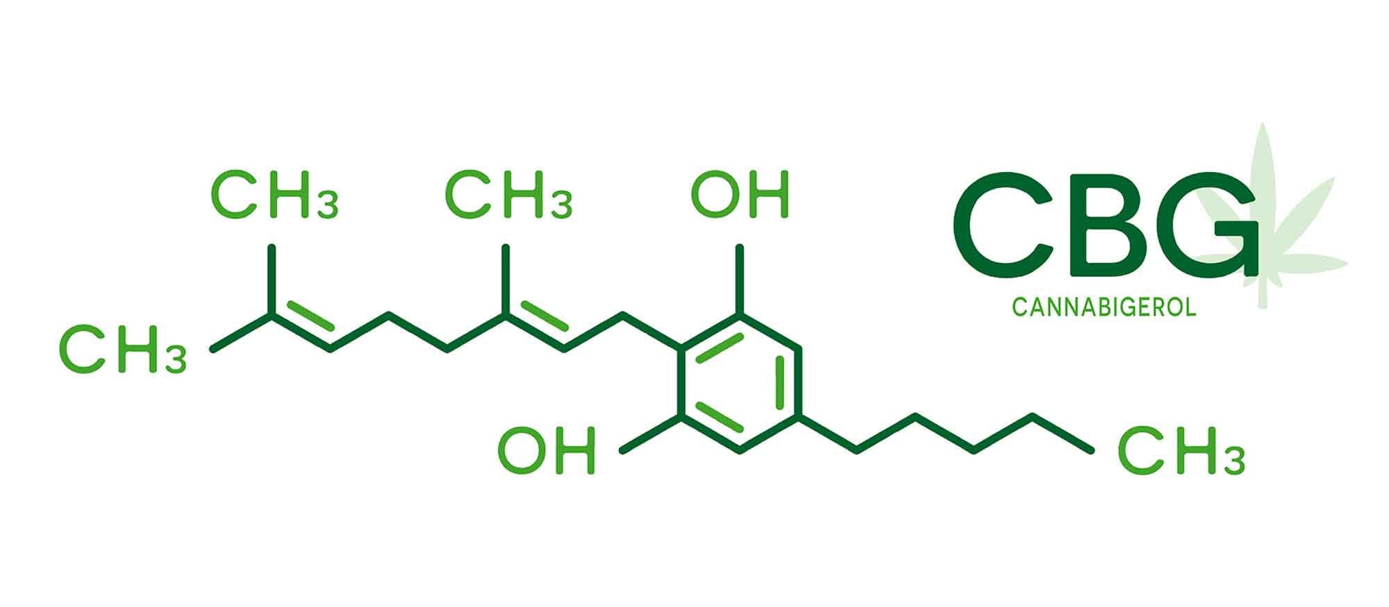 CBG Cannabigerol