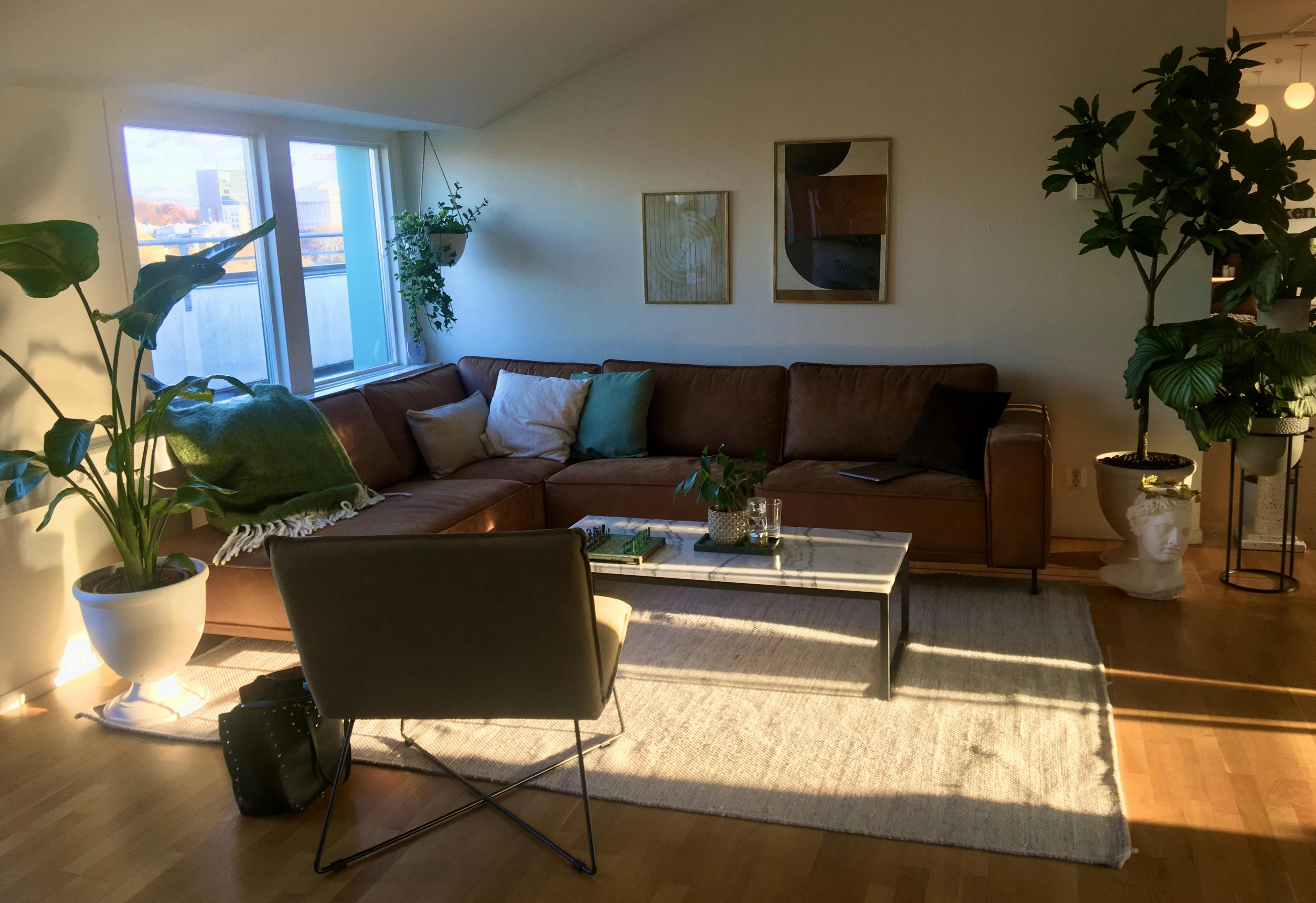 A cozy room containing a big sofa, a chair, a living room table, paintings on the wall and several plants.