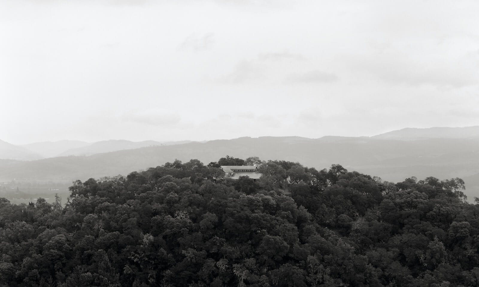 Looking north toward the winery