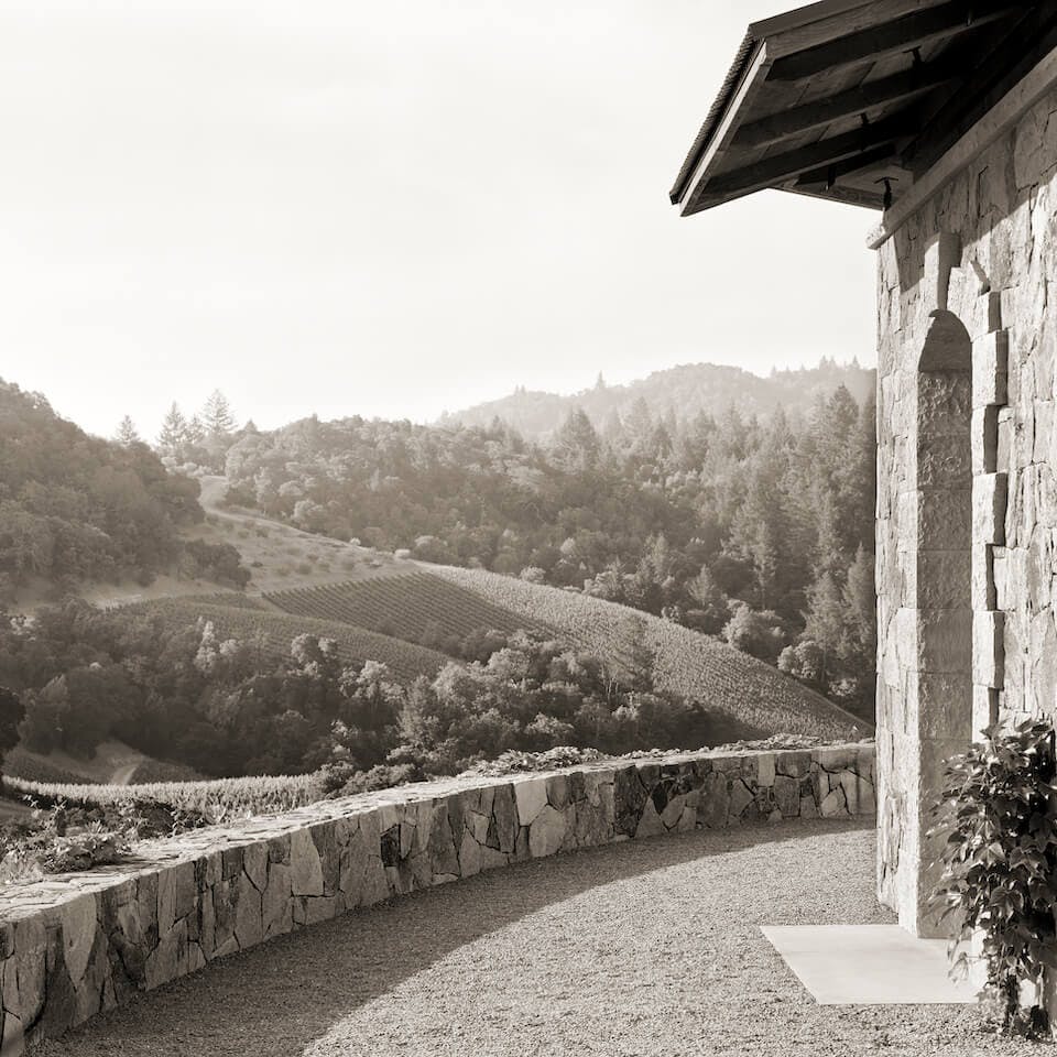 Southern view from vineyard office