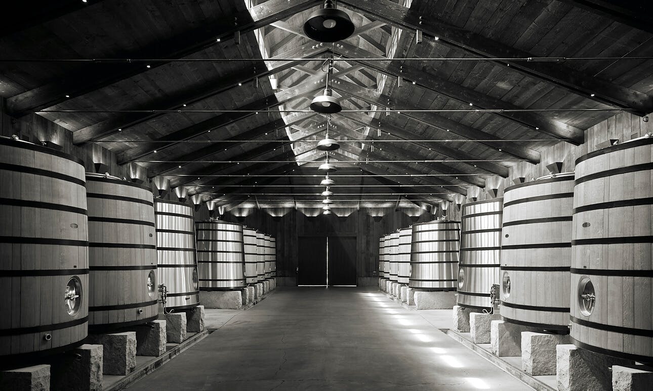 Fermentation room