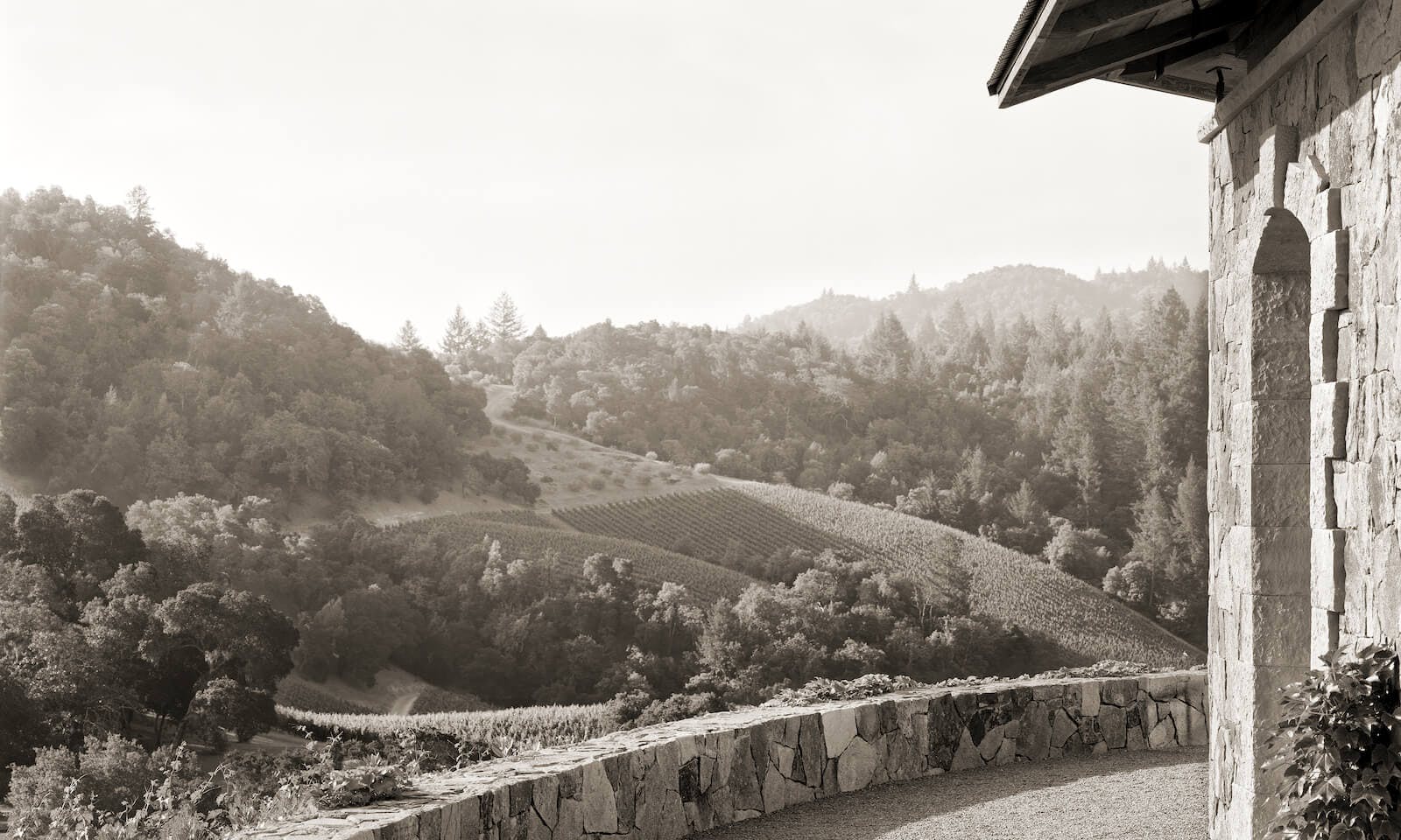 Southern view from vineyard office