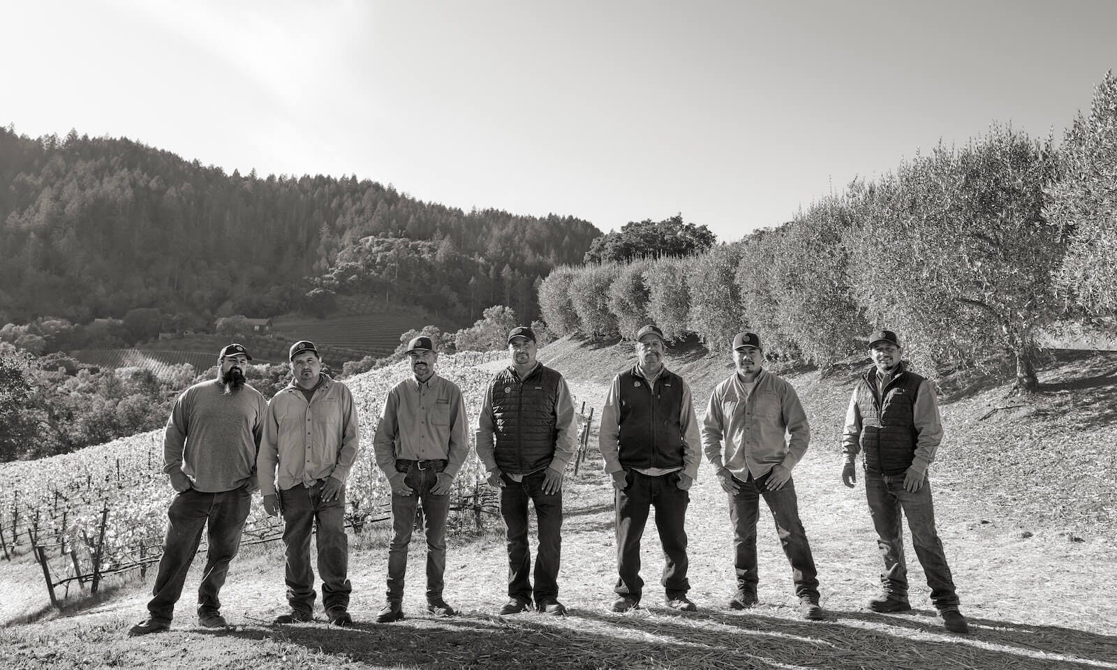 Anselmo Rubio, Leopoldo Hernandez, Francisco Gonzalez, Miguel Contreras, Pedro Martinez, Eliezer Castellanos, and Francisco Velazquez (Vine Masters)