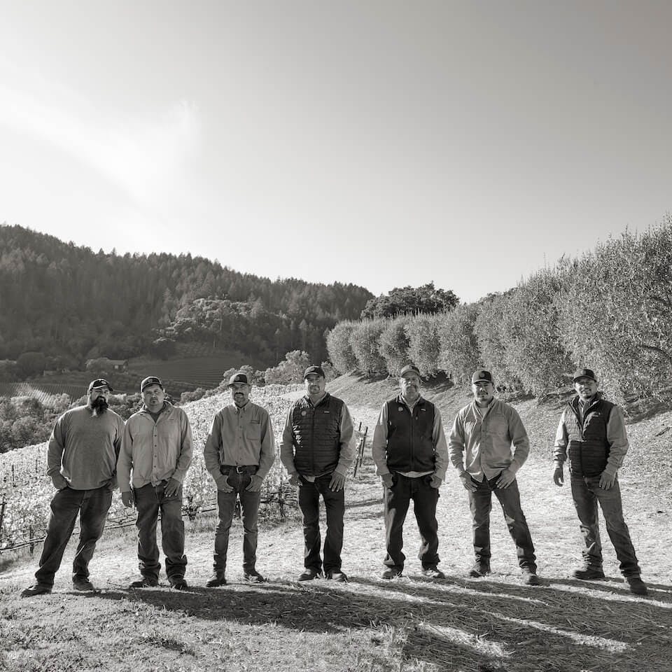 Anselmo Rubio, Leopoldo Hernandez, Francisco Gonzalez, Miguel Contreras, Pedro Martinez, Eliezer Castellanos, and Francisco Velazquez (Vine Masters)