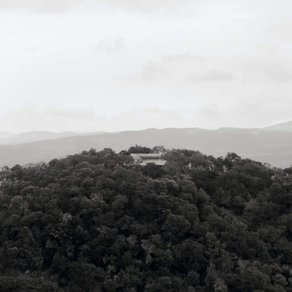 Looking north toward the winery