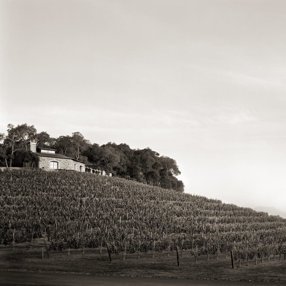 Vineyard office at first light