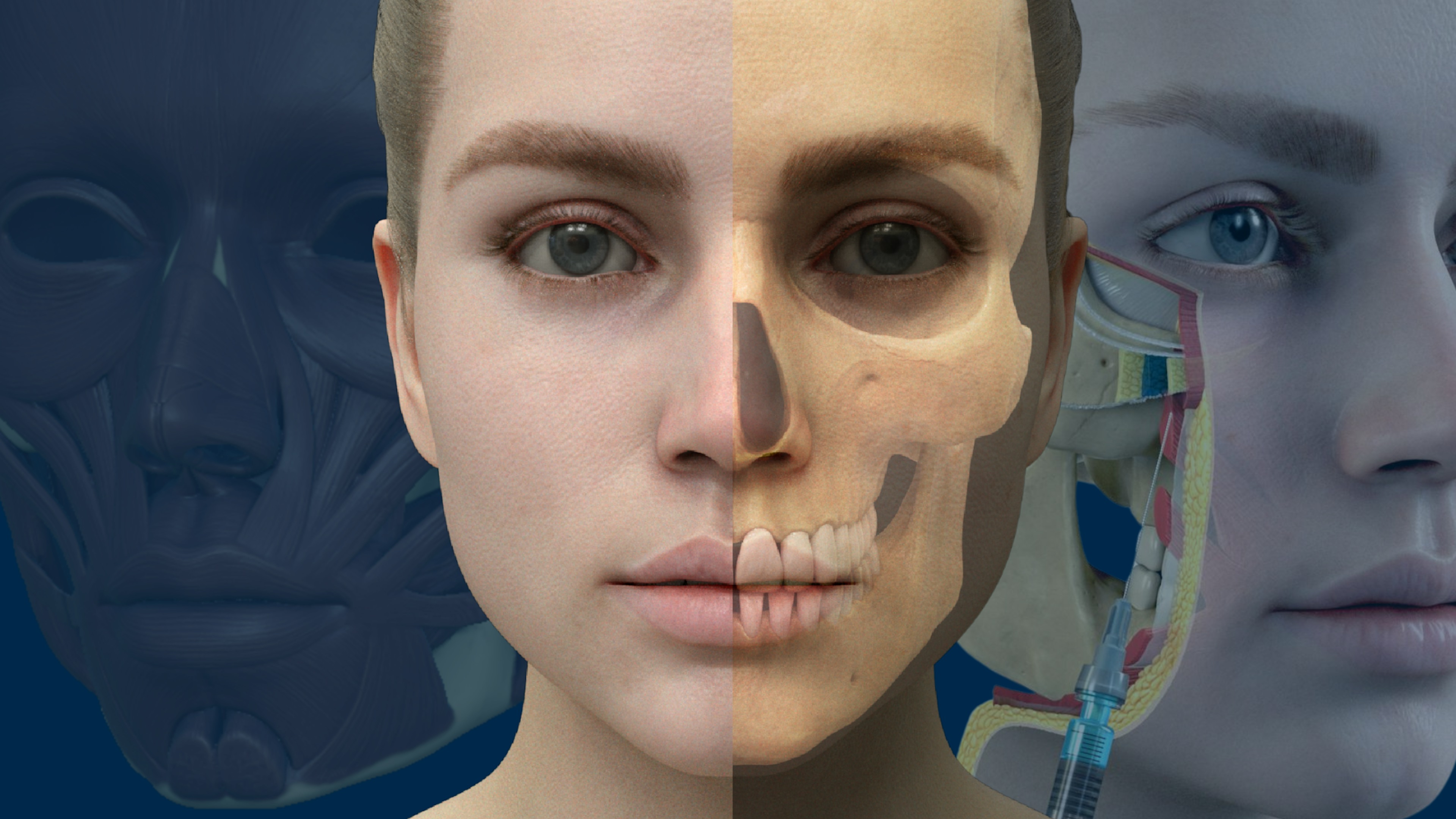 Harley Academy and GEM - Medical Aesthetics Training Courses for Healthcare Professionals