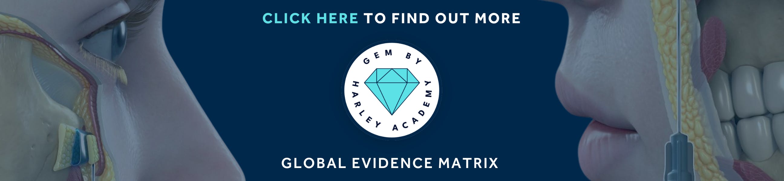GEM BY HARLEY ACADEMY - The Global Evidence Matrix for Aesthetic Practitioners - Safety Framework