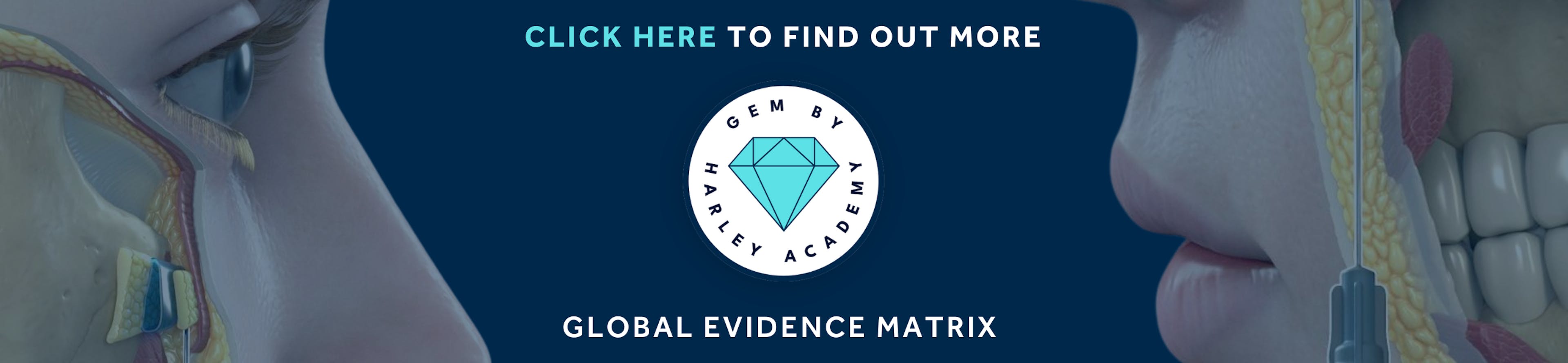 GEM BY HARLEY ACADEMY - The Global Evidence Matrix for Aesthetic Practitioners - Safety Framework