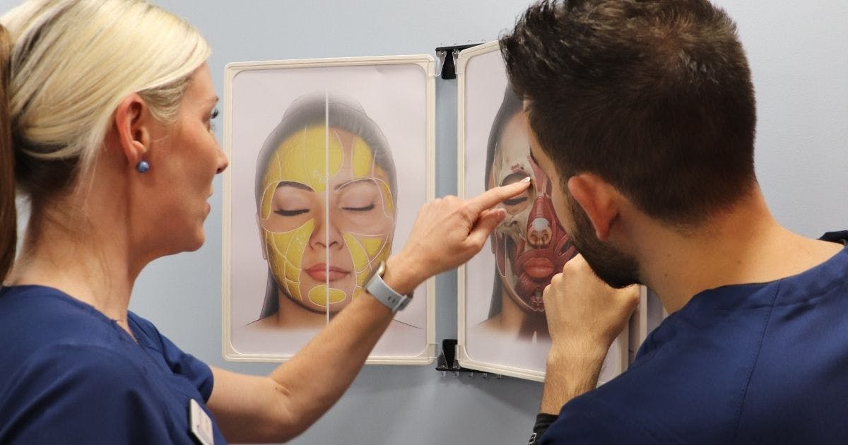facial anatomy getting started in medical aesthetics as a dentist