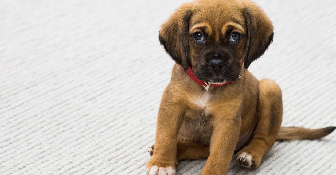 Plan Your Patient Experience Aesthetics Marketing