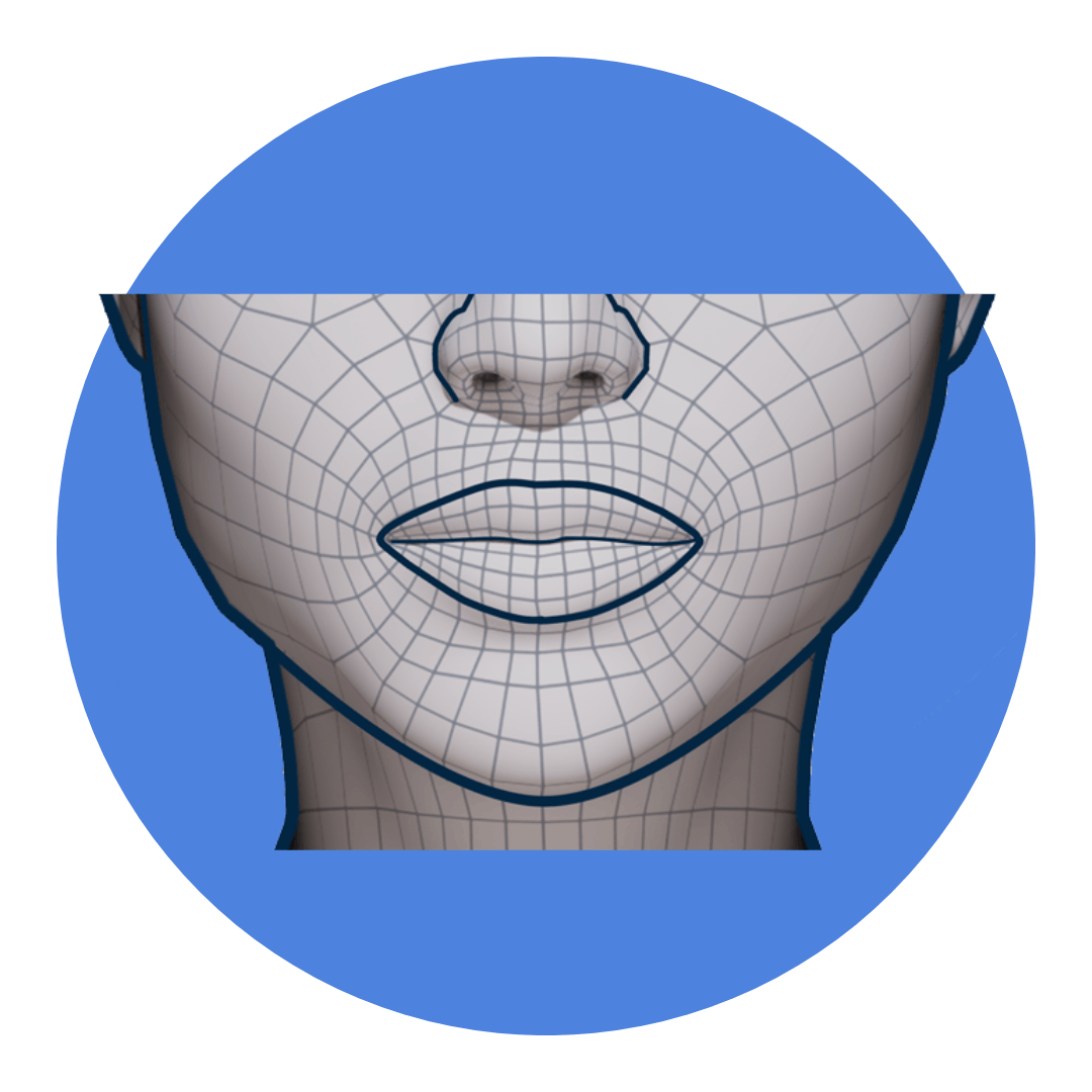 Perioral and lip anatomy