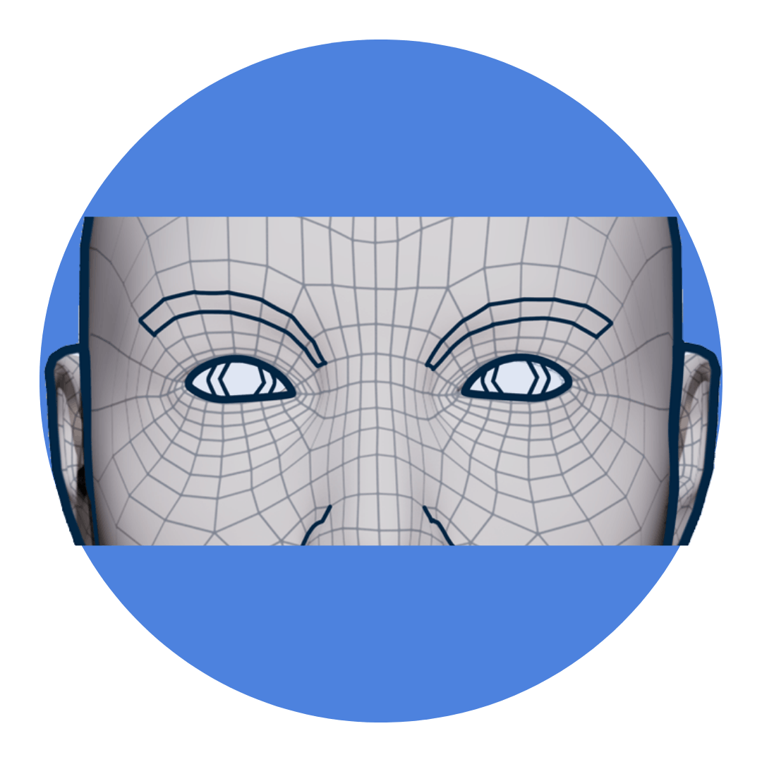 anatomy of the tear trough and periorbital region 